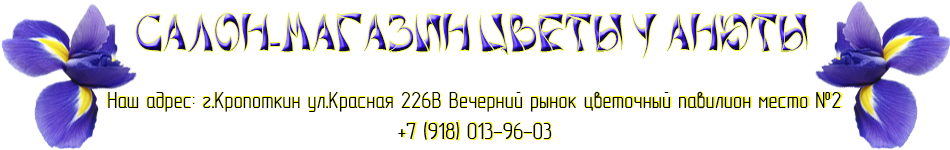 Салон-магазин